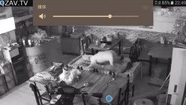 网络摄像头监控偷拍小饭店打佯后老板和媳妇在店里操逼用力过猛把小床弄塌了在餐台上搞