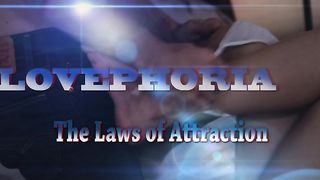 Lovephoria Laws Of Attraction